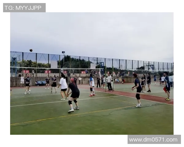 广州排球队的意识提升与团队协作探讨聚焦排球发展新方向