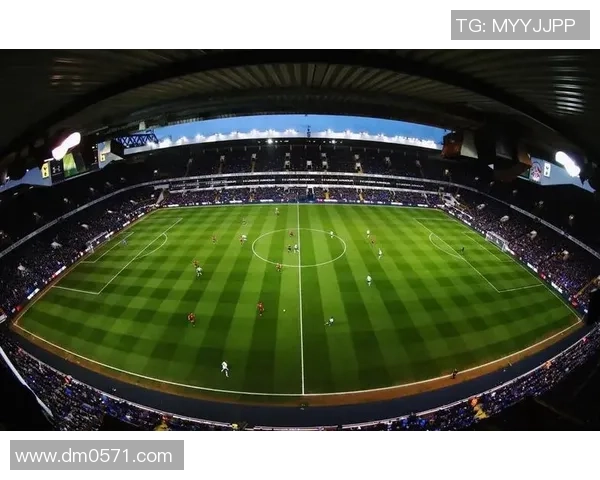 安静的球场上那些闪耀的足球明星们的传奇故事