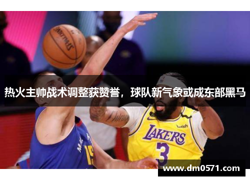 热火主帅战术调整获赞誉，球队新气象或成东部黑马